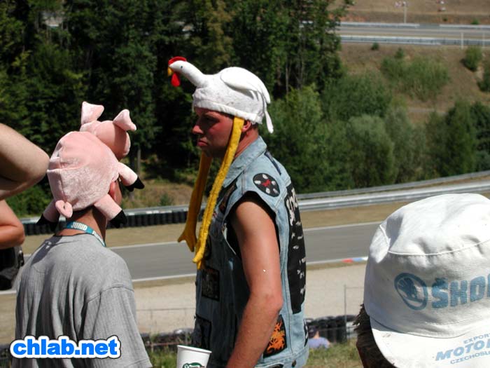 Schweine und Hhner verstanden sich

