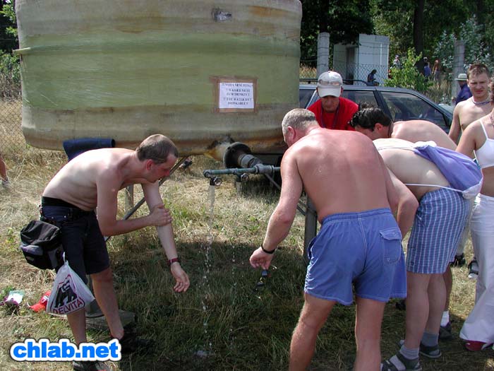 Wasserkuh an der Rennstrecke
