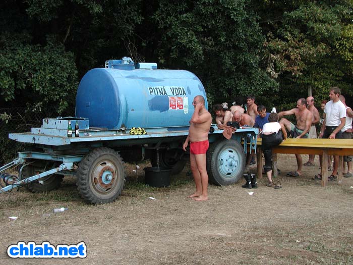 Wasserkuh im Camp

