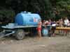 Wasserkuh im Camp
